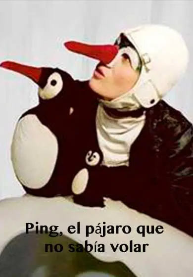 Cartel de Ping, el pájaro que no sabía volar