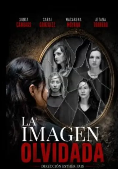 Cartel de La imagen olvidada
