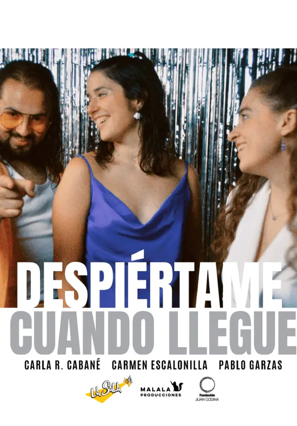 Cartel de Despiértame cuando llegue