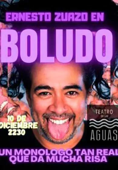 Cartel de Boludo
