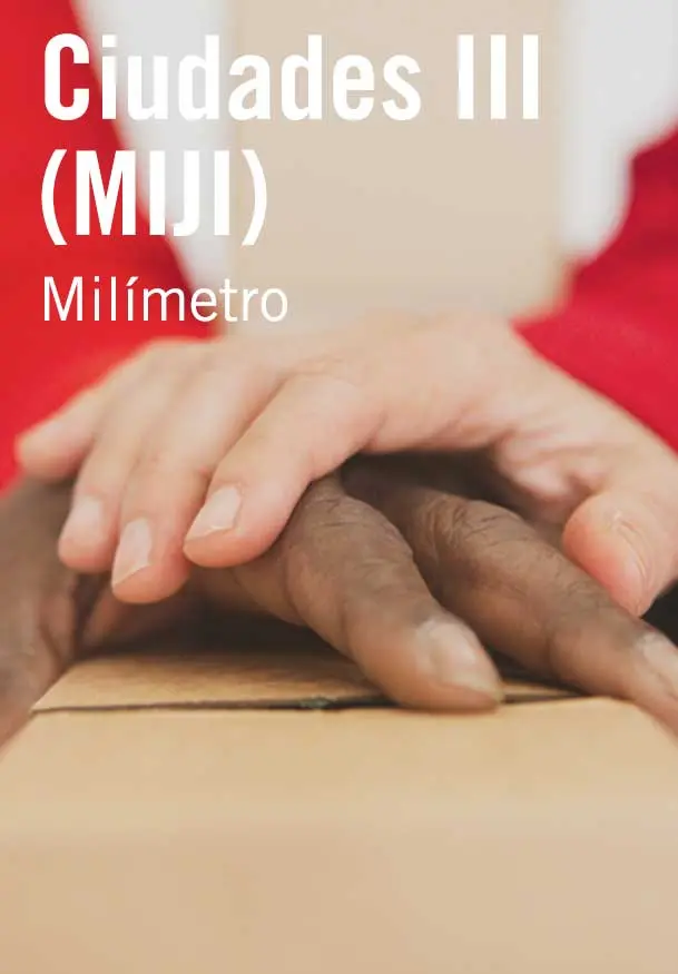 Cartel de Ciudades III (MIJI)