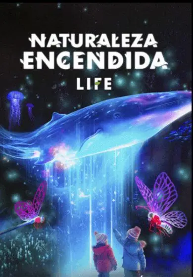 Cartel de Naturaleza Encendida