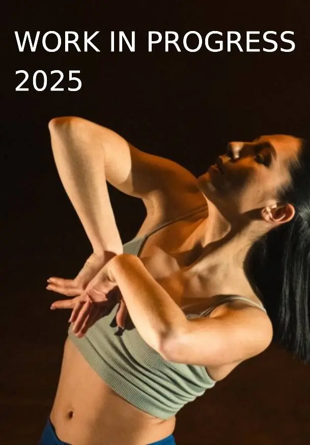 Cartel de Work In Progress 2025