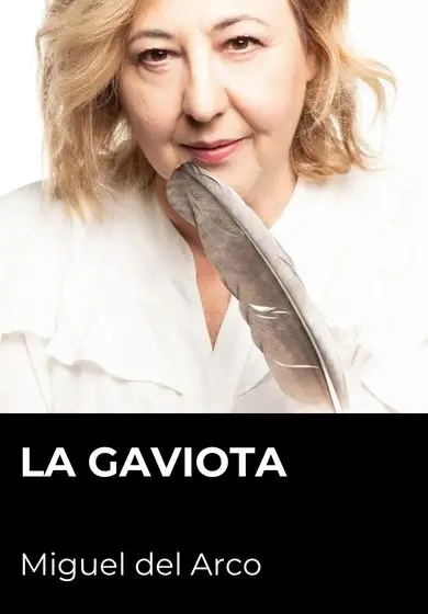 Cartel de La gaviota