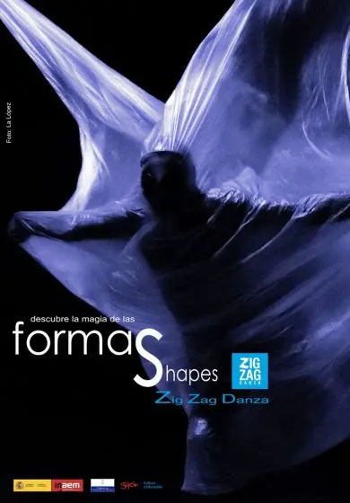 Cartel de FormaS - Zig Zag Danza