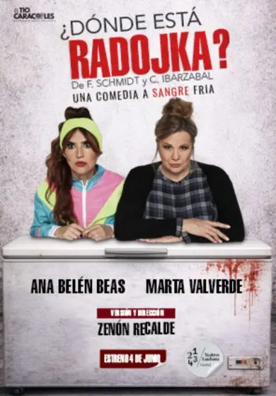 Cartel de ¿Dónde está Radojka?