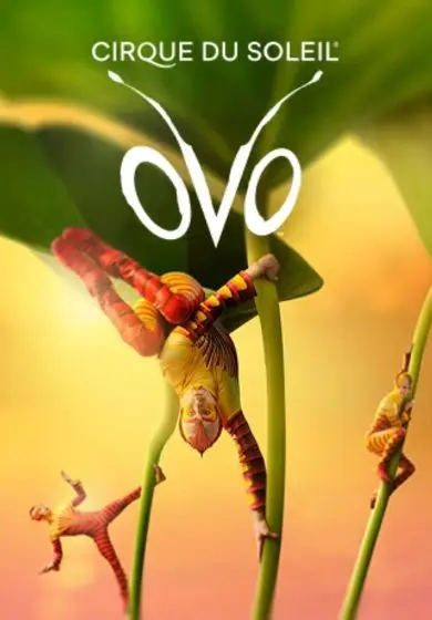 Cartel de Cirque du soleil: OVO