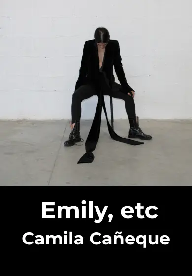 Cartel de Emily, etc