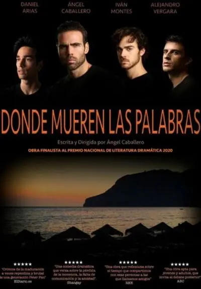 Cartel de Donde mueren las palabras