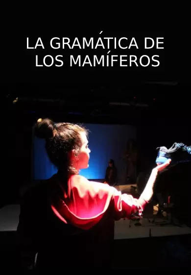 Cartel de La gramática de los mamíferos