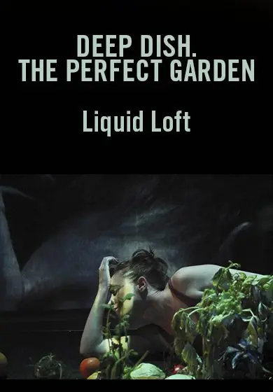 Cartel de Deep Dish. The perfect garden