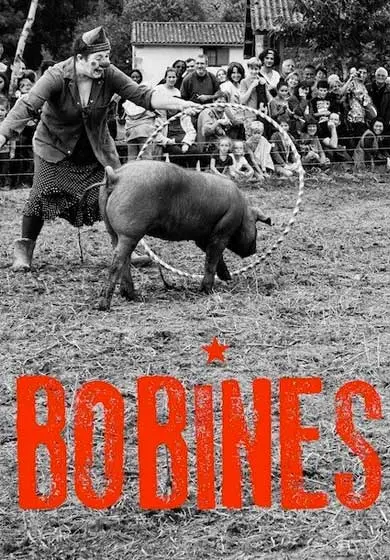 Cartel de L'attraction Celeste: Bobines