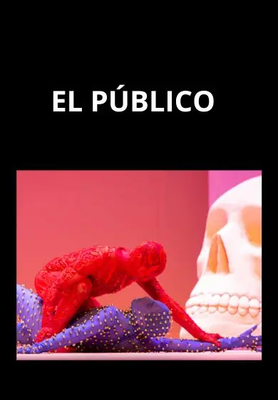 Cartel de El público