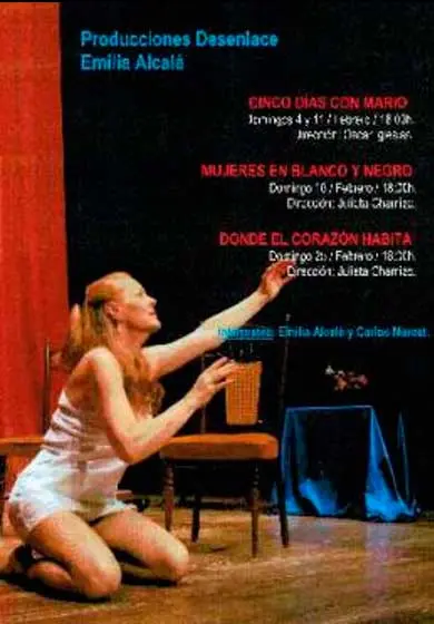 Cartel de Ciclo Producciones Desenlace
