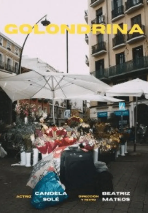 Cartel de Golondrina (on the road)