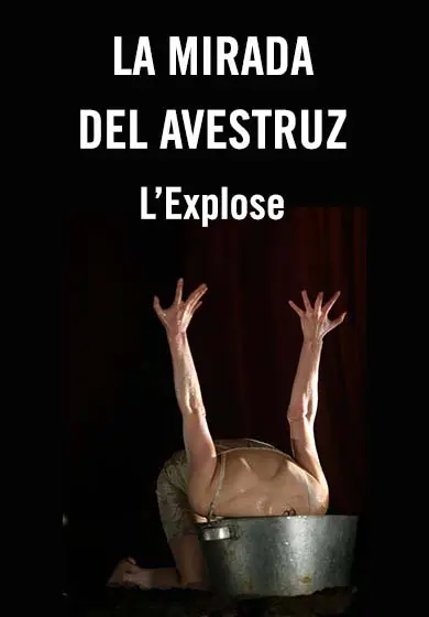 Cartel de La mirada del avestruz