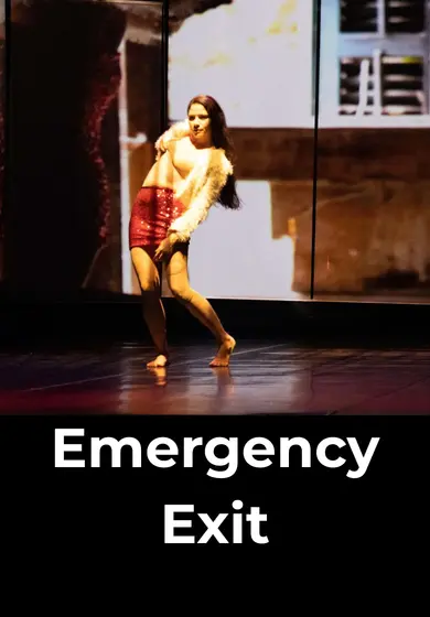 Cartel de Emergency exit