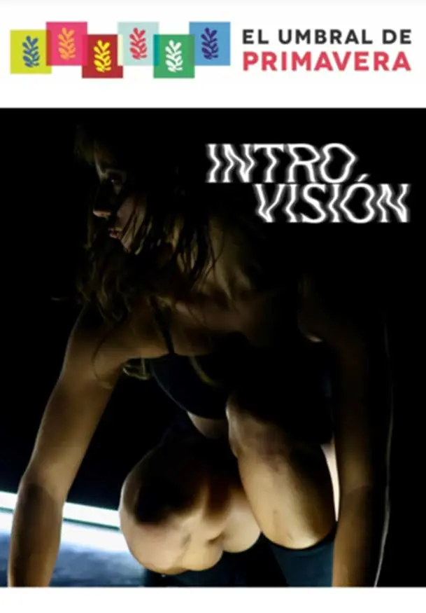 Cartel de Intro-Visión
