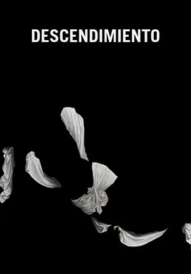 Cartel de Descendimiento