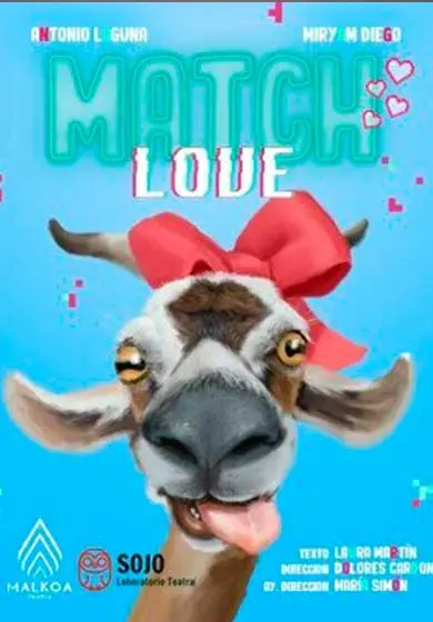 Cartel de Match love