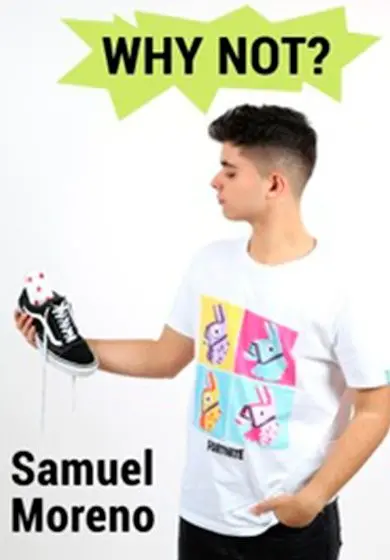 Cartel de Why not?