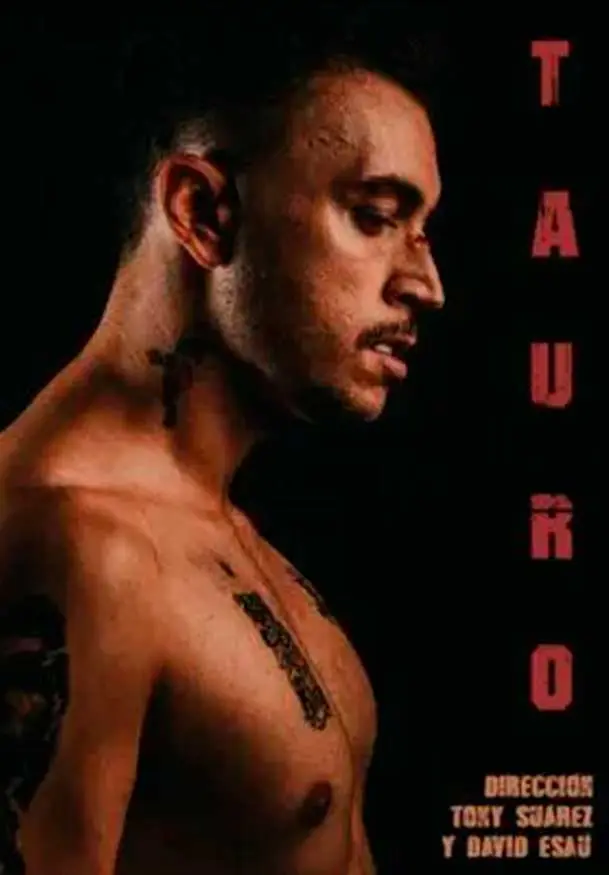Cartel de Tauro
