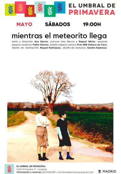 Cartel de Mientras el meteorito llega