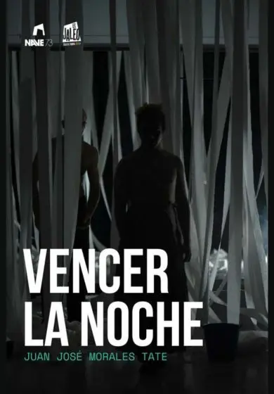 Cartel de Vencer la noche