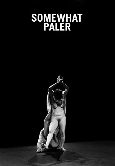 Cartel de Somewhat paler