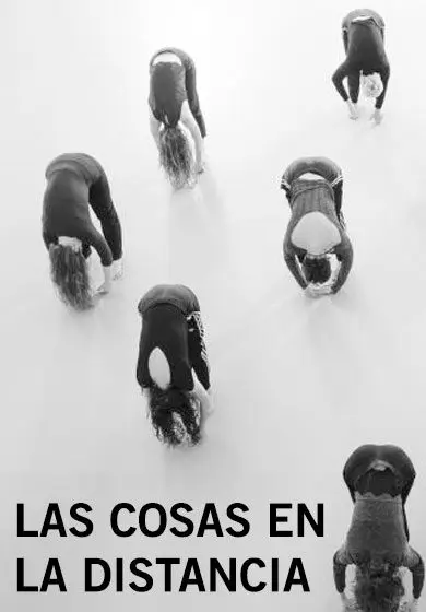 Cartel de Las cosas en la distancia