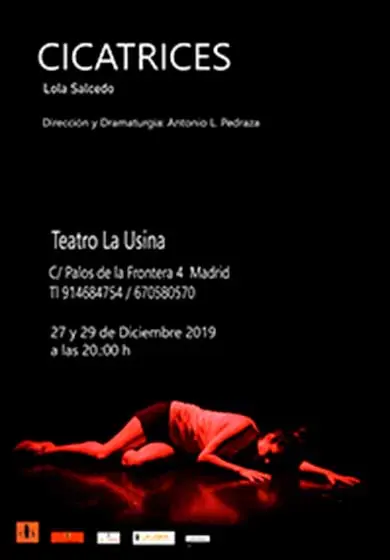 Cartel de Cicatrices