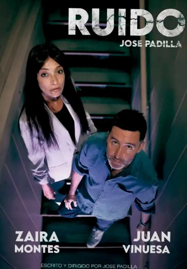 Cartel de Ruido