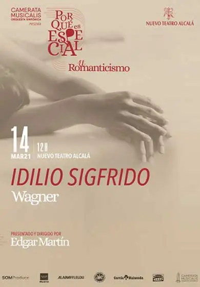 Cartel de Camerata Musicalis: ¿Por qué es especial? Wagner - Idilio Sigfrido
