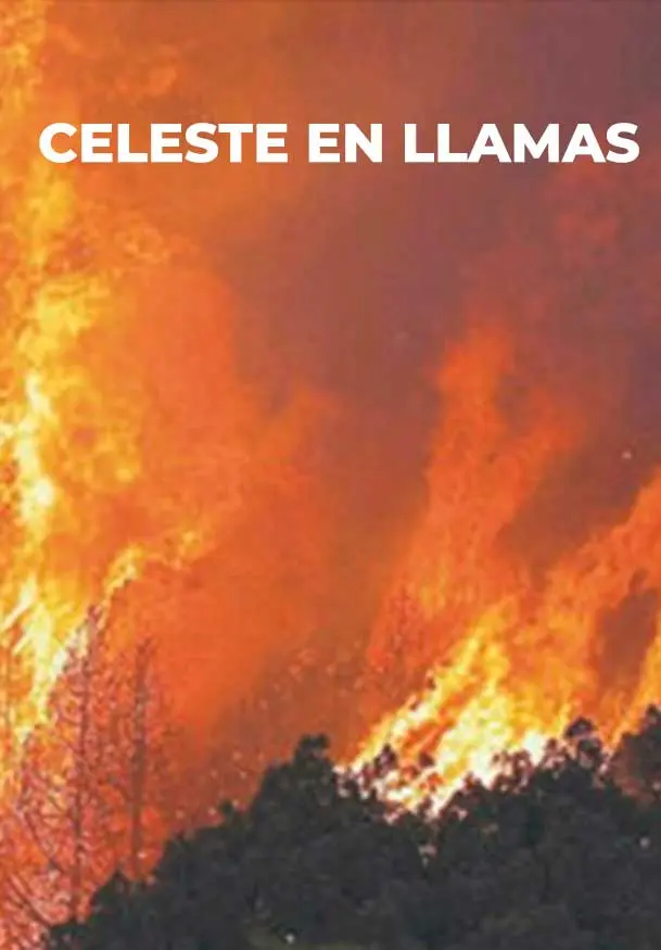 Cartel de Celeste en llamas
