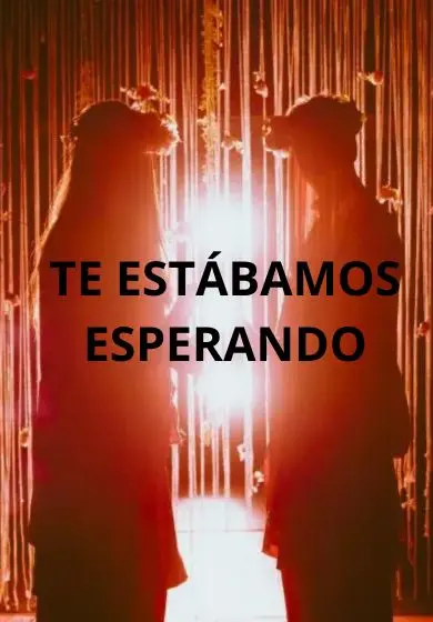 Cartel de Te estábamos esperando