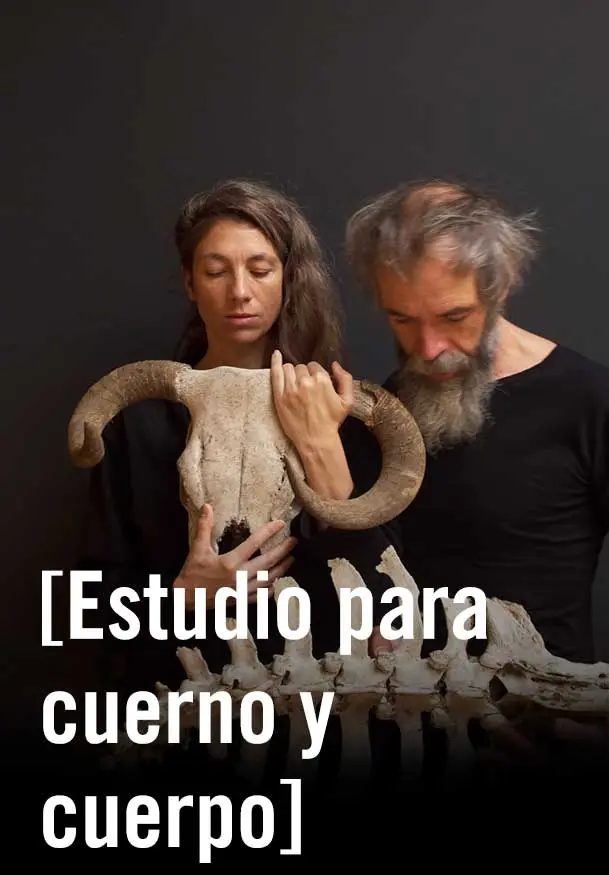 Cartel de [Estudio para cuerno y cuerpo]
