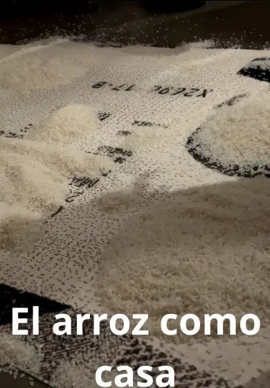 Cartel de El arroz como casa