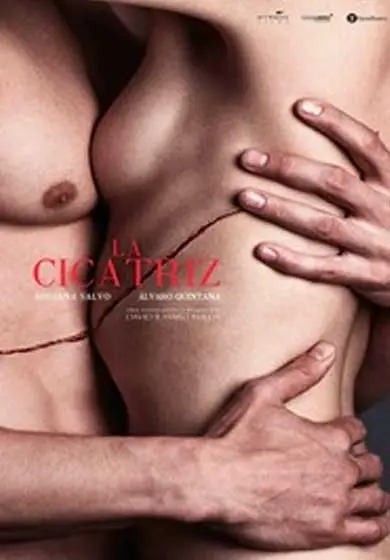 Cartel de La cicatriz
