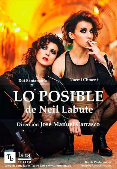 Cartel de Lo posible
