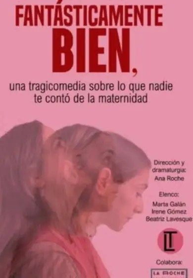 Cartel de Fantásticamente bien