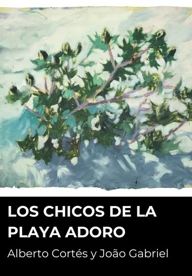 Cartel de Los chicos de la playa Adoro