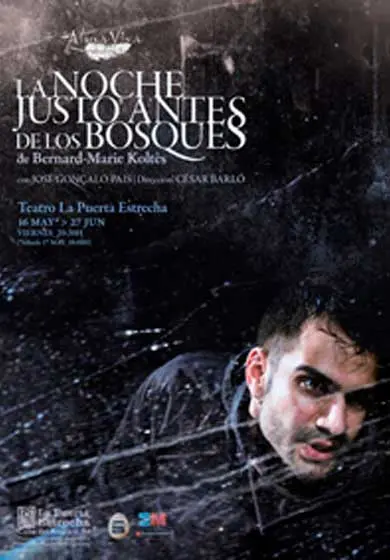 Cartel de La Noche Justo Antes de los Bosques