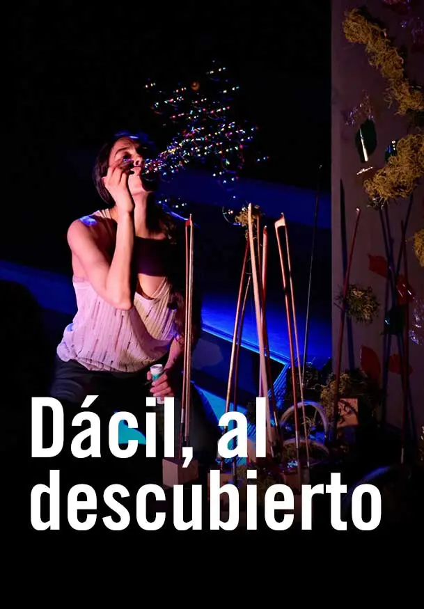 Cartel de Dácil, al descubierto