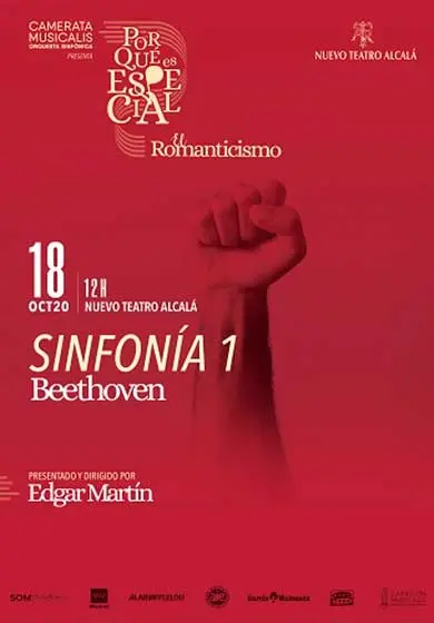 Cartel de Camerata Musicalis: ¿Por qué es especial?