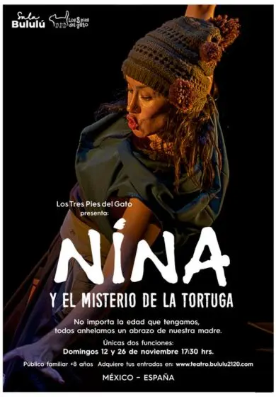 Cartel de Nina y el misterio de la tortuga