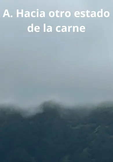 Cartel de A. Hacia otro estado de la carne - La Señorita Blanco