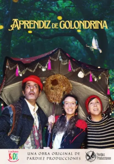 Cartel de Aprendiz de golondrina