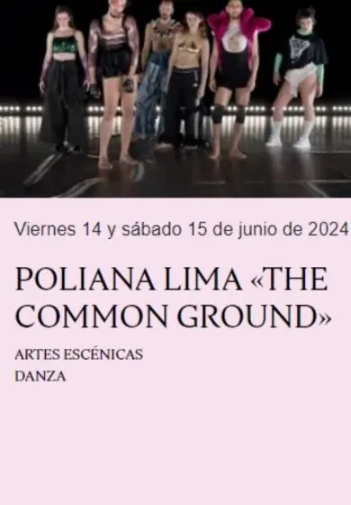 Cartel de The Common Ground