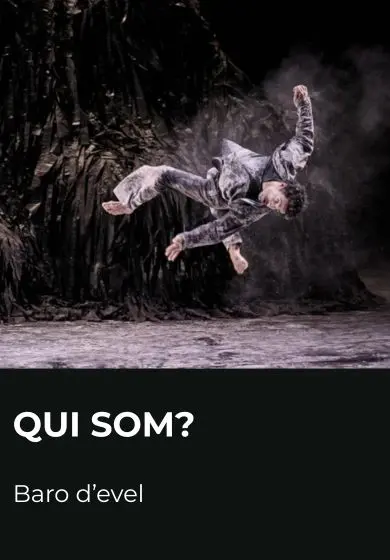 Cartel de Qui som? - Baro d'evel