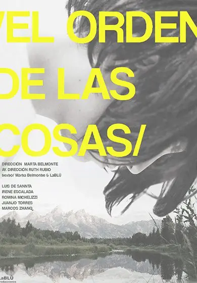 Cartel de El orden de las cosas